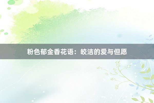 粉色郁金香花语：皎洁的爱与但愿